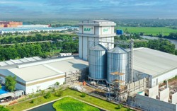 BAF muốn chia thưởng và trả cổ tức 20%, đưa CEO Siba Holdings vào Hội đồng quản trị