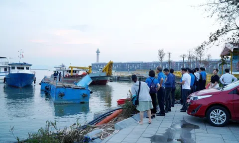 Quảng Ninh: Bảo hiểm Bảo Việt dự kiến bồi thường thiệt hại do bão 573 tỷ đồng