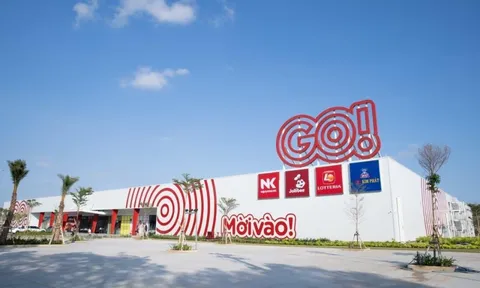 Đại gia bán lẻ Thái Lan với thương hiệu Big C, GO! sụt giảm doanh thu ở Việt Nam trong nửa đầu năm vì lý do bất ngờ, bị Bách Hóa Xanh bỏ xa