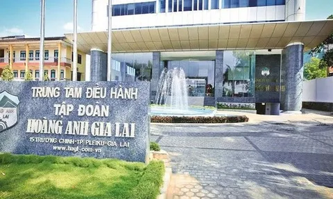 HAGL chuyển đổi 300 tỷ đồng nợ thành vốn góp tại Hưng Thắng Lợi Gia Lai