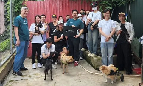 Các tình nguyện viên của Vantage Foundation mang yêu thương và sự chăm sóc đến với những chú chó được giải cứu tại Laws for Paws Vietnam