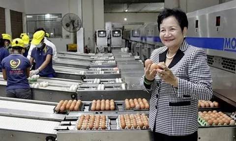 Công ty Cổ phần Ba Huân bị cưỡng chế dừng làm thủ tục hải quan do nợ thuế 51 tỷ đồng