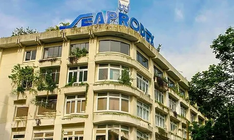 Công ty con của Novaland thành cổ đông lớn tại Seaprodex