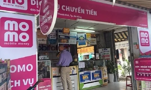 Soi danh tính 20 cổ đông ngoại đang nắm 71,259 % vốn Fintech "kỳ lân" MoMo