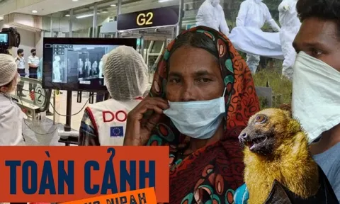 Toàn cảnh virus Nipah: Mối đe dọa âm ỉ khiến thế giới luôn trong trạng thái báo động