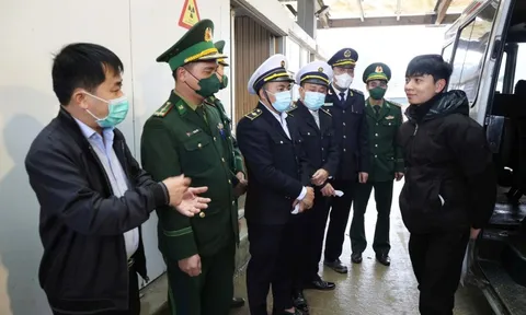 Hà Tĩnh chủ động phòng chống bệnh do virus Nipah