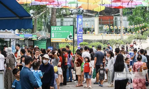 Mùa cao điểm du lịch, mùa cao trào lừa đảo