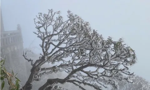 Miền Bắc đón đợt không khí lạnh cực mạnh, trời rét đậm