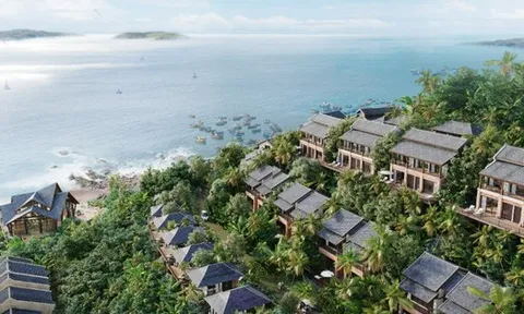 Vinam Land lỗ ròng hơn 100 tỷ đồng trong nửa đầu năm 2025