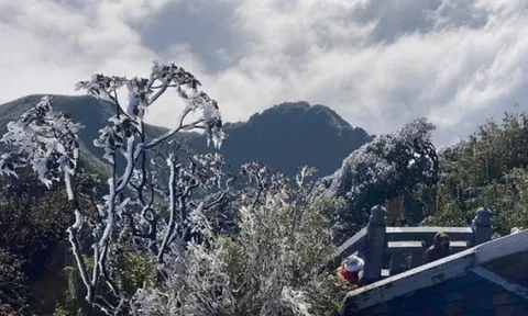 Dự báo thời tiết 2/2: Khối không khí lạnh mạnh tăng cường khiến nền nhiệt miền Bắc giảm sâu, trời rét đậm