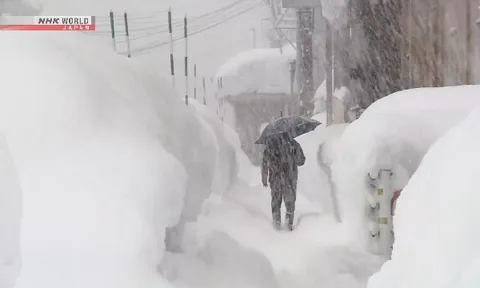 Nhiều người bị tuyết vùi lấp tử vong tại Nhật Bản