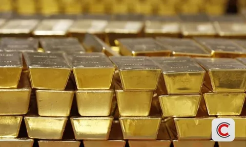 Một app đầu tư vàng vừa 'sập': Hàng chục nghìn nhà đầu tư nguy cơ mất trắng, tổng thiệt hại ước tính 1,4 tỷ USD