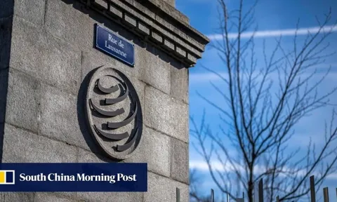 Không phải Mỹ, đây mới là nền kinh tế có nhiều tranh chấp thương mại nhất với Trung Quốc