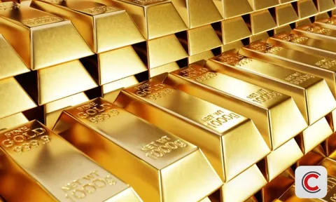 'Trả lại mồ hôi nước mắt của chúng tôi' - Tiếng khóc xé lòng của nạn nhân vụ sập app đầu tư vàng, mất trắng hơn 5 tỷ đồng sau 1 đêm