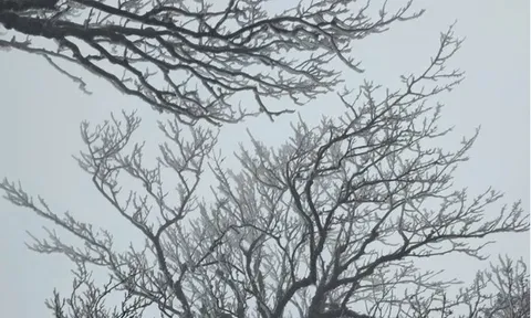 Miền Bắc liên tiếp đón không khí lạnh cường độ mạnh, trời rét đậm