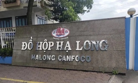 Đồ hộp Hạ Long lần đầu lỗ đậm sau nhiều năm, tồn kho và nợ vay tăng mạnh