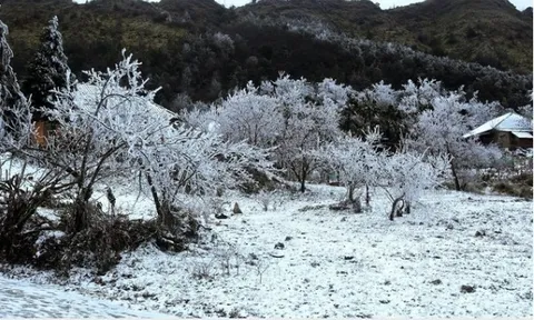 Dự báo thời tiết 6/2: Không khí lạnh dồn dập tràn về, miền Bắc sắp đón đợt rét đậm trên diện rộng