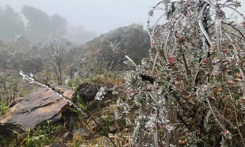 Không khí lạnh cực mạnh bao phủ miền Bắc, nhiệt độ giảm sâu, trời rét buốt đến khi nào?