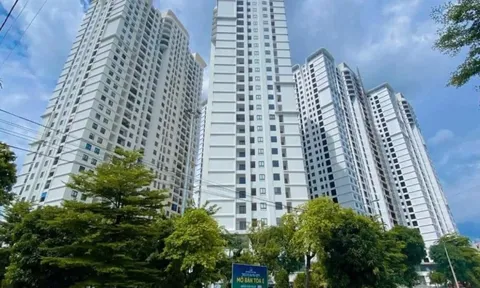 Bất động sản năm 2026: Dòng tiền sẽ chảy vào đâu?