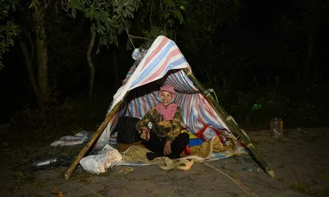 "Ăn sương, nằm gió" trên hè phố canh hoa Tết, tiểu thương kỳ vọng dịp đắt hàng nhất năm