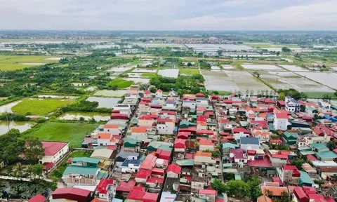 Đất đấu giá xã ngoại thành Hà Nội trúng cao nhất hơn 164 triệu đồng/m2