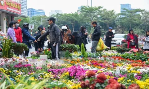 Dự báo thời tiết 13/2: Miền Bắc sắp đón đợt không khí lạnh mạnh tràn về, trời chuyển rét