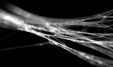 Vì sao tơ nhện chắc hơn thép?