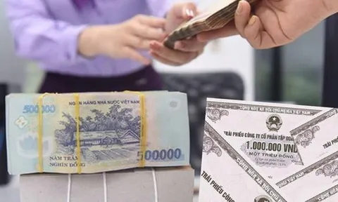 Thanh tra Chính phủ phát hiện một số vi phạm trong phát hành trái phiếu doanh nghiệp riêng lẻ