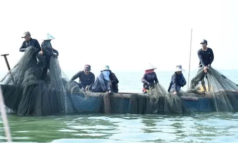 Người dân bám hồ mưu sinh, giữ nhịp xuân giữa mênh mang sóng nước trên hồ Trị An