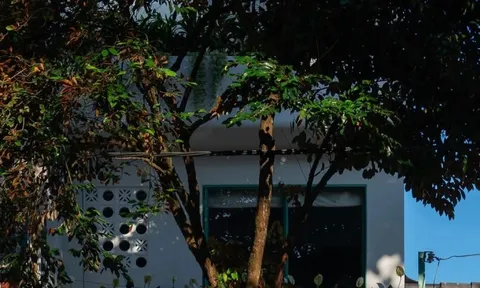 Gia chủ thư thái trong ngôi nhà màu xanh dịu mát