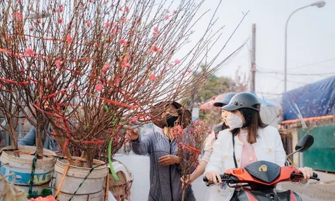 Tin gió mùa Đông Bắc mới nhất: Miền Bắc đón đợt không khí lạnh mạnh tràn về, trời trở rét