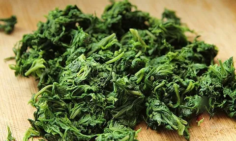 Loại rau mọc dại ở Việt Nam, nước ngoài ví là "báu vật trời ban"