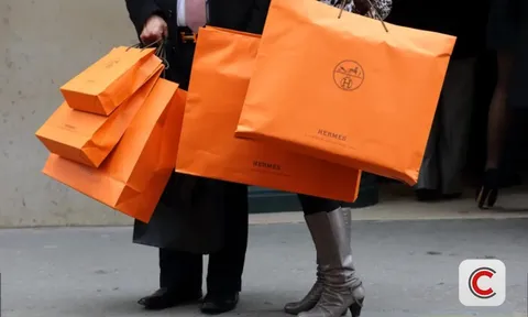 Không phải vàng, Bitcoin hay cổ phiếu, đây mới là kênh đầu tư lợi nhuận 300% mà giới siêu giàu đổ xô mua vào để giữ tiền