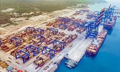 EU và Ấn Độ tạm dừng đàm phán thương mại với Mỹ