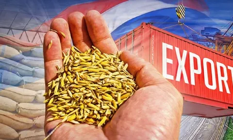 Xuất khẩu gạo Thái Lan lo 'chạm đáy' 5 năm: Vì một chỉ số cao nhất thế giới, gấp rưỡi Việt Nam, Campuchia