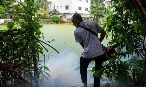 Loài động vật nguy hiểm nhất thế giới giết chết hơn 1.000.000 người mỗi năm: Không phải con vật bạn đang nghĩ