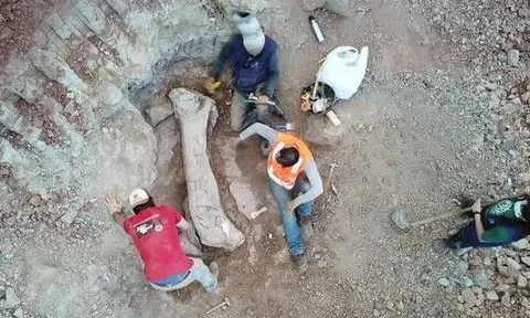 Quái vật dài 20 m "trỗi dậy" giữa công trình đường sắt