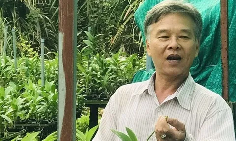 Kỳ lạ vườn cây "không có ngày nghỉ" ở TP HCM: Lão nông chỉ cần chạm màn hình mang về doanh thu 2 tỷ đồng/năm