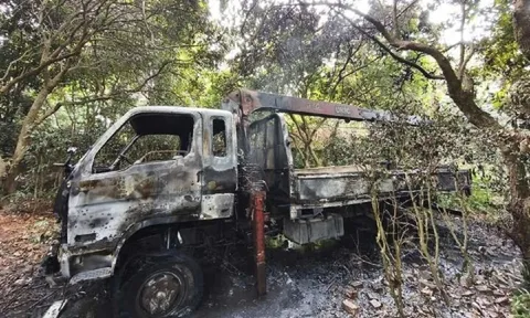 Xe tải cẩu vướng dây điện rồi bốc cháy, tài xế bị điện giật tử vong thương tâm