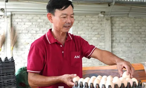 Khởi nghiệp với 5 triệu đồng, anh chủ thu về hàng chục tỷ đồng từ một loài 'quái thú siêu trứng'