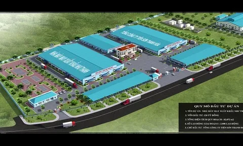 Giám đốc Tài chính Tập đoàn Tiên Sơn Thanh Hóa bị xử phạt vì thao túng cổ phiếu AAT