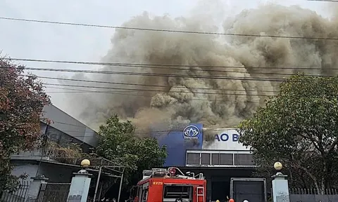 Hỏa hoạn tại Công ty bao bì Bông Sen, khói đen cuồn cuộn