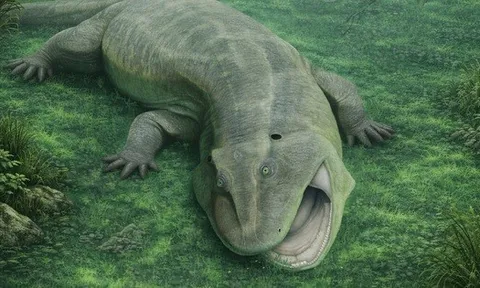 9 quái vật từ "lục địa đã mất" gây sốc cho giới khoa học