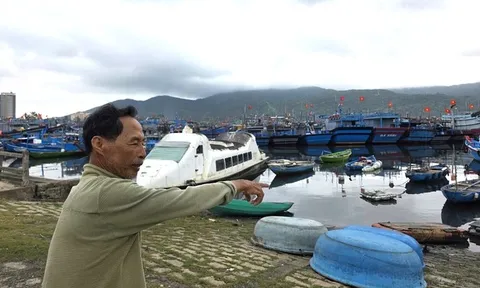 Ra khơi hay neo bến? Bài toán khó của ngư dân khi giá dầu biến động