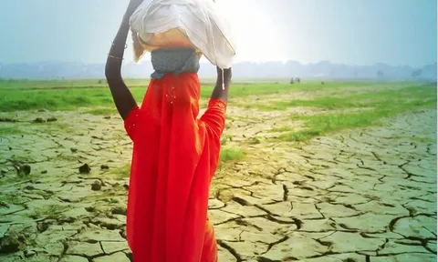 Nắng nóng cực độ ảnh hưởng đến 1/3 dân số toàn cầu