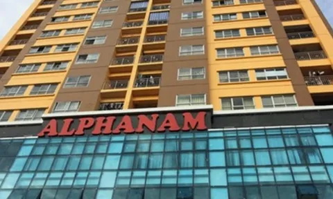 Cơ cấu cổ đông của Alphanam E&C thế nào?