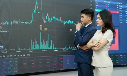 VN-Index có thể còn kiểm định đáy, nhà đầu tư chưa nên vội bắt đáy