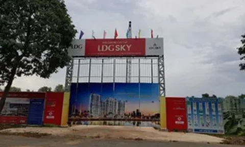 LDG tiếp tục chậm trả hơn 200 tỷ đồng trái phiếu dù đã có lãi trở lại