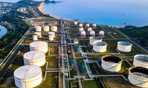 Vì sao Lọc hóa dầu Bình Sơn không đáp ứng điều kiện công ty đại chúng?