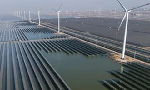 Cú sốc năng lượng và lời cảnh tỉnh toàn cầu